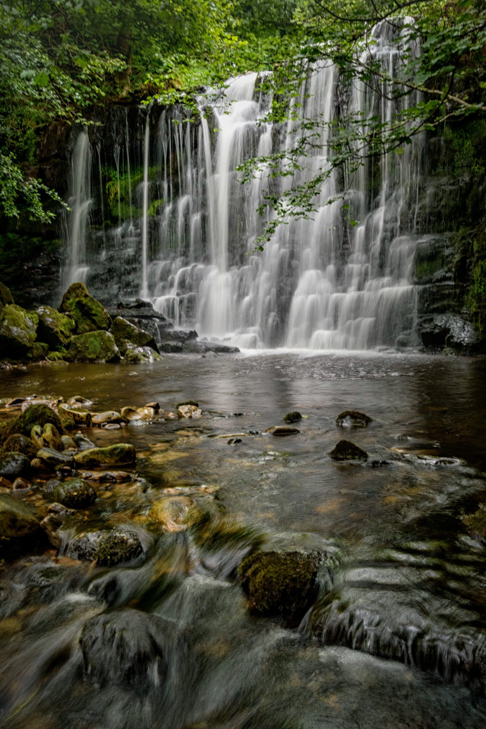 Scale Haw Force